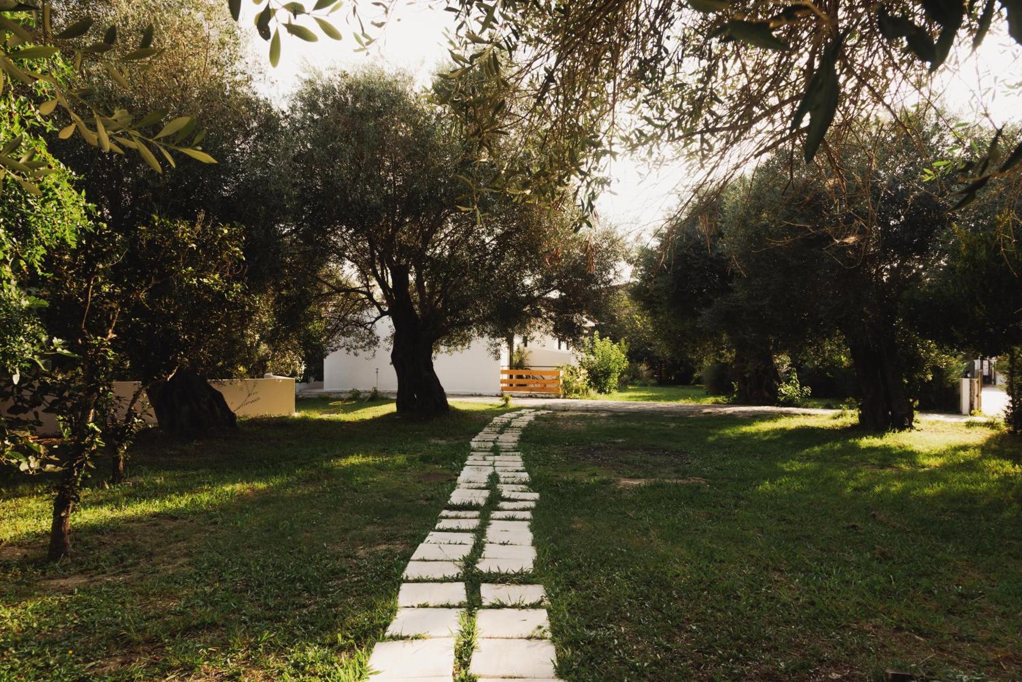 Olive Grove Boutique 4* Moraitika