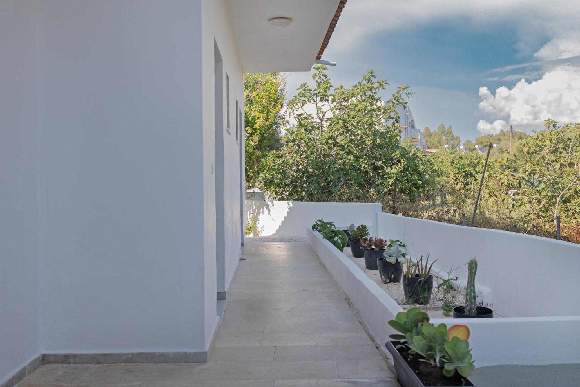 Hotel Olive Grove Boutique