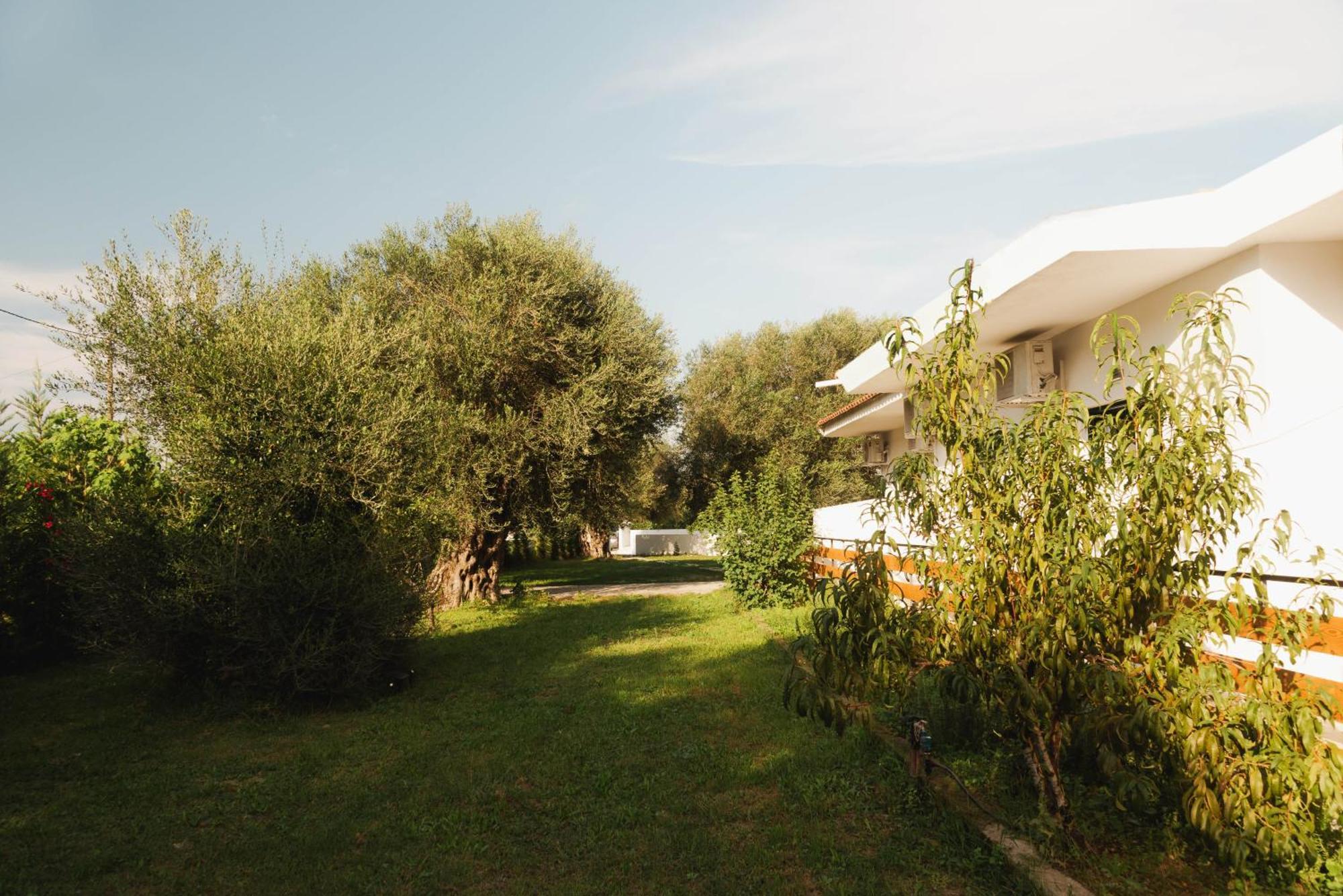 Olive Grove Boutique 4*