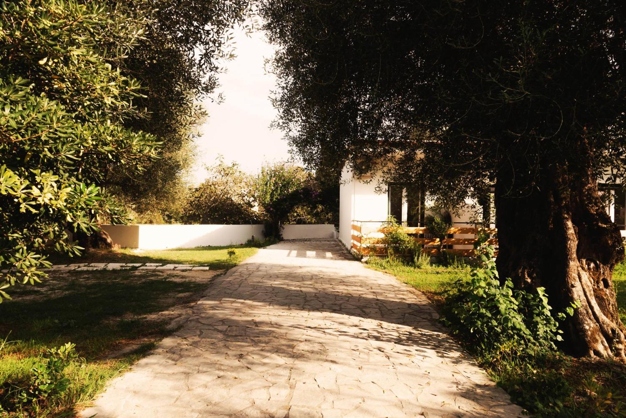Olive Grove Boutique 4* Moraitika